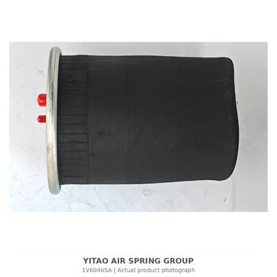 1V6046SA मैन एयर स्प्रिंग बिना पिस्टन 81436010152 | 4884N1P01