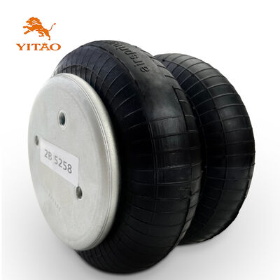 2B 5258 डबल घुमावदार हवा स्प्रिंग